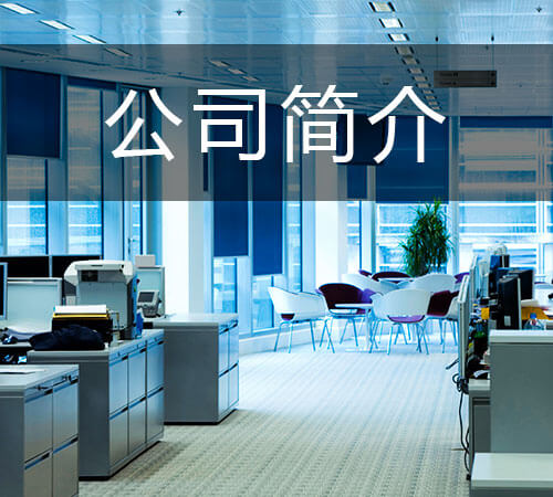 芯智景